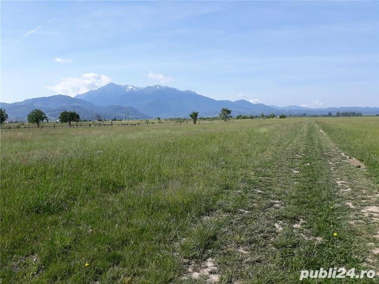 Teren de 8600 mp, în Central