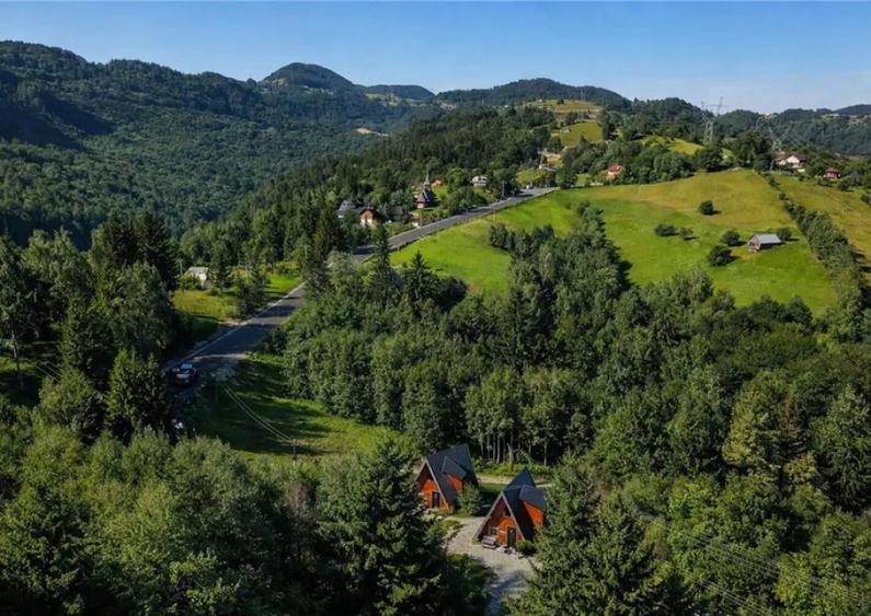 In incantare peisagistica,rafinata cabana, echipata,Moieciu, - 5