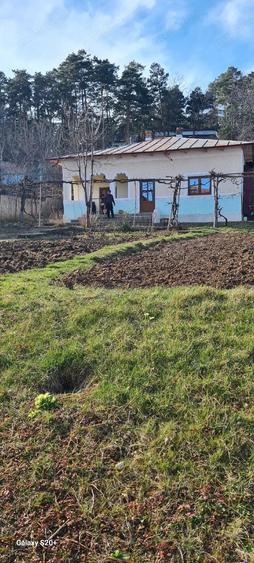 Casa si teren de vanzare Moinesti - 1