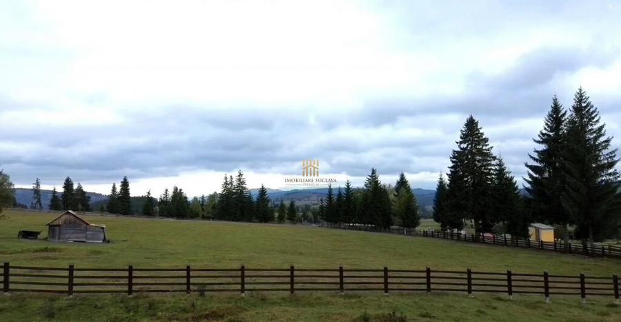 Teren 2804 mp, la munte! In Bucovina Fundu Moldovei! - 7