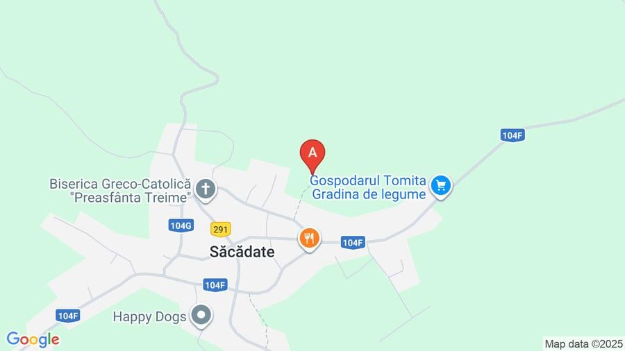 teren de vânzarecu Priveliște spectaculoasă din Săcădate - 1