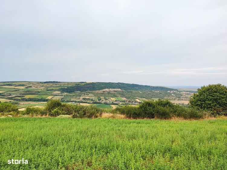 Teren 1050 mp Dealul Fanatelor/ investitie - 3
