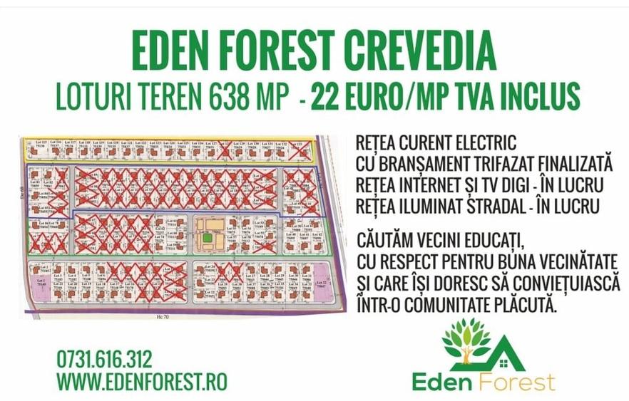 Lot teren Eden Forest Crevedia cu bransament curent trifazic existent - 5