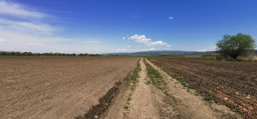 TEREN AGRICOL DE VANZARE - BOD - BRASOV 4,5 HA - 6