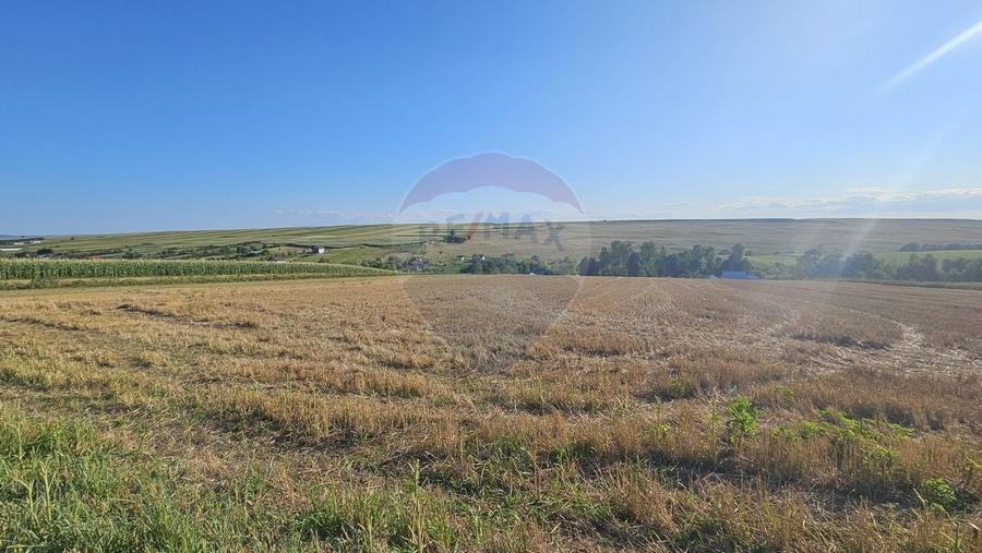 Teren intravilan, 7500 mp in Moara Carp / Strada Eternitatii-Suceava - 8