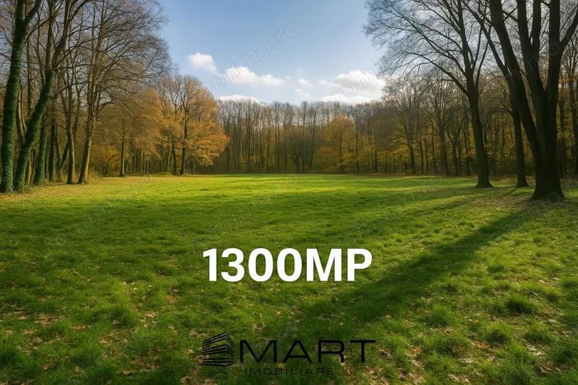 Teren cu vad exceptional 1300mp zona Subarini - 1