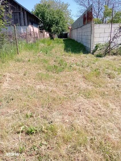 Vand in pielesti dolj la primarie - 5