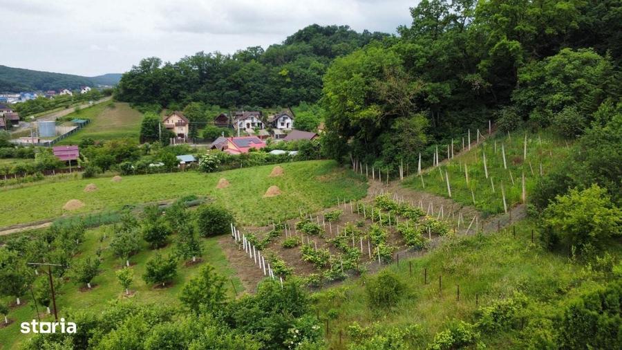 DE VANZARE Doua parcele de teren intravilan in Corunca-Valea Iubirii - 7