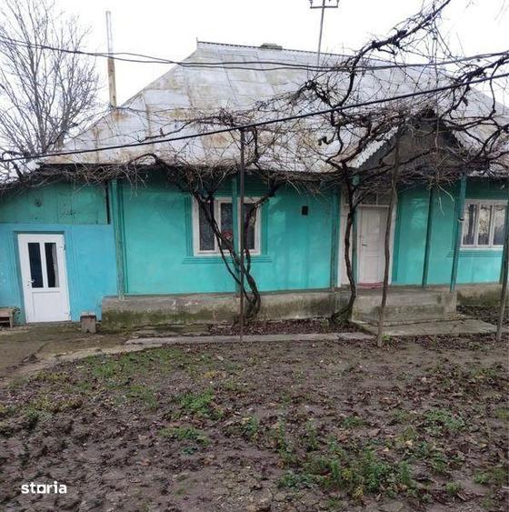 casa si padure de vanzare - 2