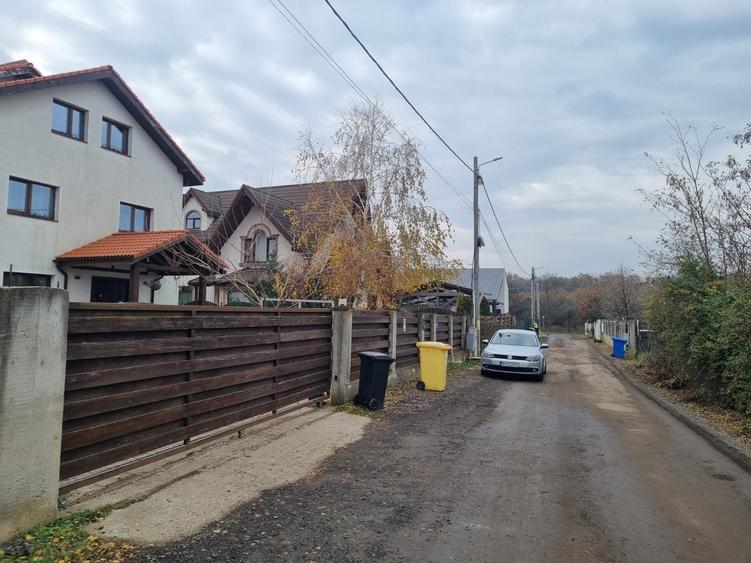 Vand 2500 mp in Branesti, strada Brazi in spatele lizierei, tpate utilitatile, - 3