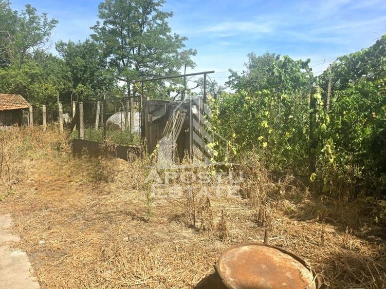 Casa cu teren in localitatea Simand - 14