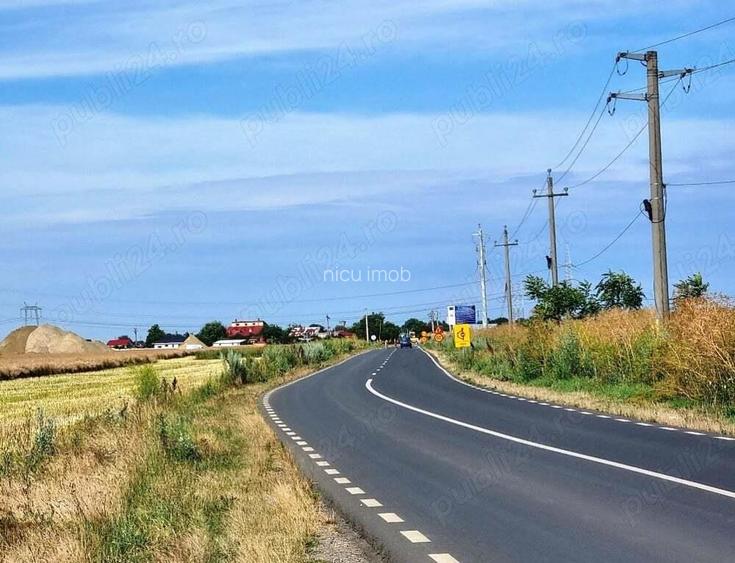 Vanzare teren 450mp Cernica Balaceanca