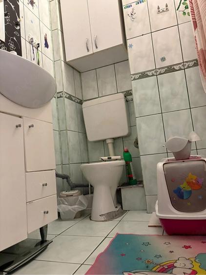 Apartament cu 3 camere semidecomandat, mobilat în Șagului