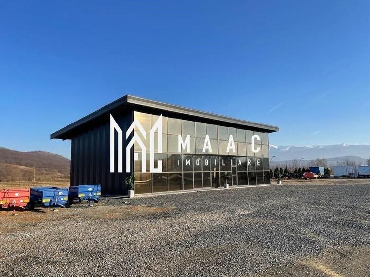 Hala | 250 MP | Teren 11.000 mp | - 1