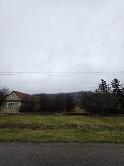 Casa si teren de vanzare - 5