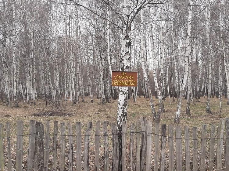 Vanzare teren intravilan - 6