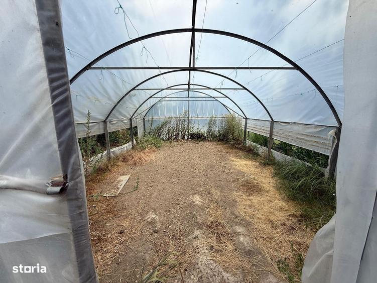 Casa de vanzare cu teren 3750 mp - 8