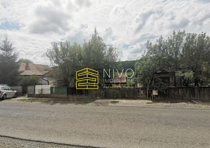 Teren intravilan - Budiu Mic - Str. Principala - 3