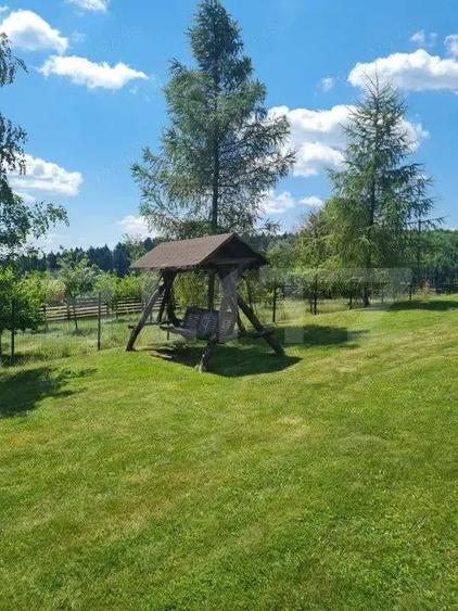 Casa vacanta 5 camere Paltinoasa, zona excelenta, in circuit turistic! - 19