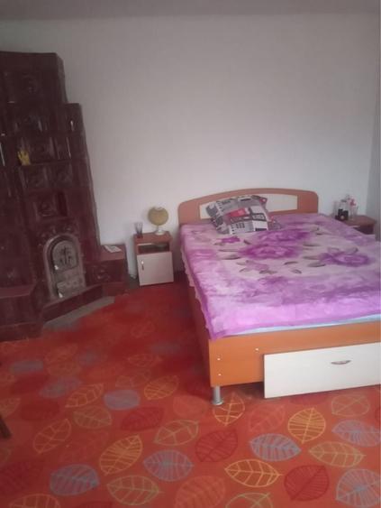 Case si teren de vanzare - 3