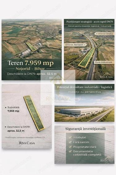 TEREN INTRAVILAN 7.959 MP DN79 NOJORID, BIHOR - 3