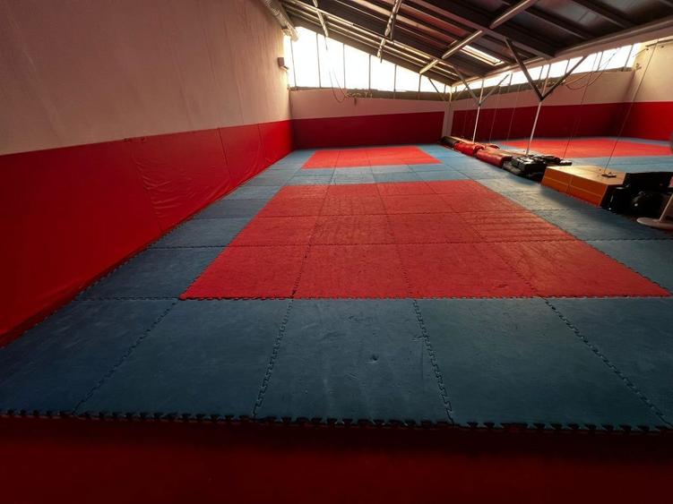 Inchiriez salii antrenamente - 2