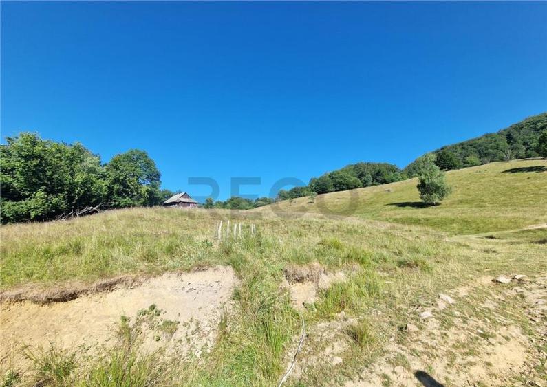 RECO teren extravilan Remeti - 6