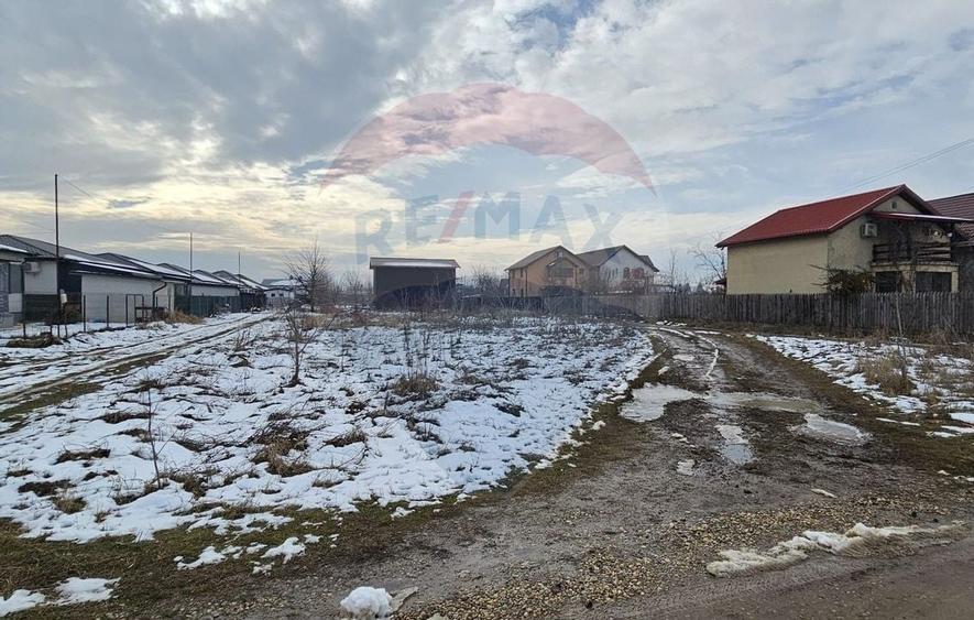 Teren 750mp Domnesti / Strada Martisor - 3