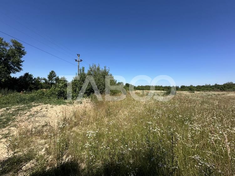 Comision 0% Teren intravilan cu utilitati 2200 mp pe Valea Sebesului - 2