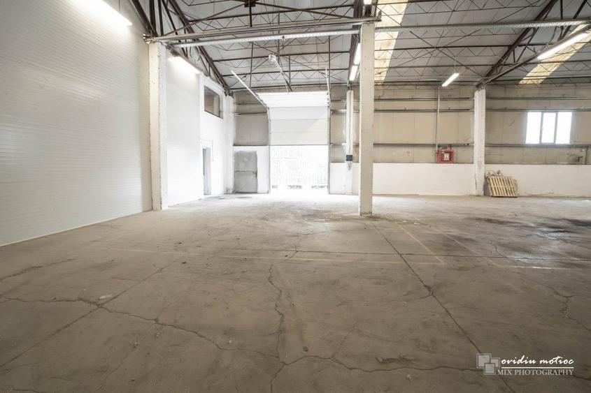 Modul hala 200-400 mp, Calea Baciului - 5