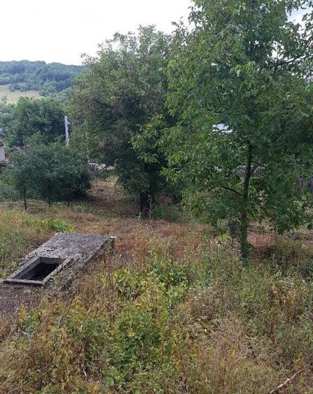 Parava, sat Dragusani, teren 4800mp, la asfalt - 18