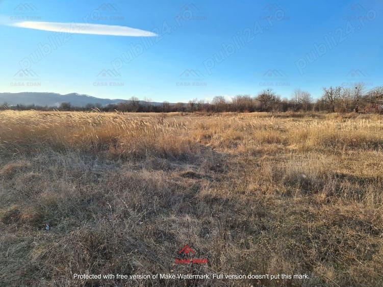 Teren intravilan in Banesti-- 5000mp--26e - 9