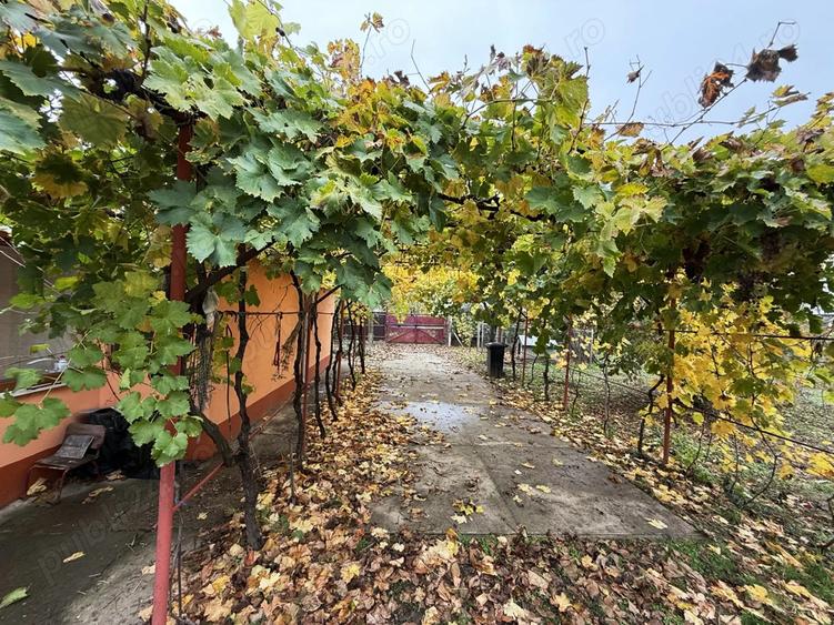 Casa ?i teren de vanzare - Frumu?i?a, Gala?i - 4