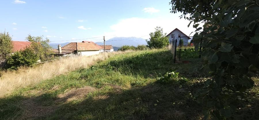 Teren pentru locuinta, casa de vacanta, pensiune, Zarnesti (zona Pleasa), PUZ, 2 - 2