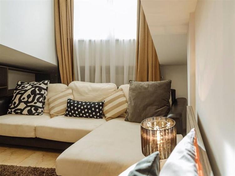 Penthouse 2 camere, inchiriere lunga durata, Herastrau - 9