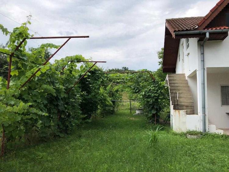 Casa si teren in satul Batoti (MH) - 4