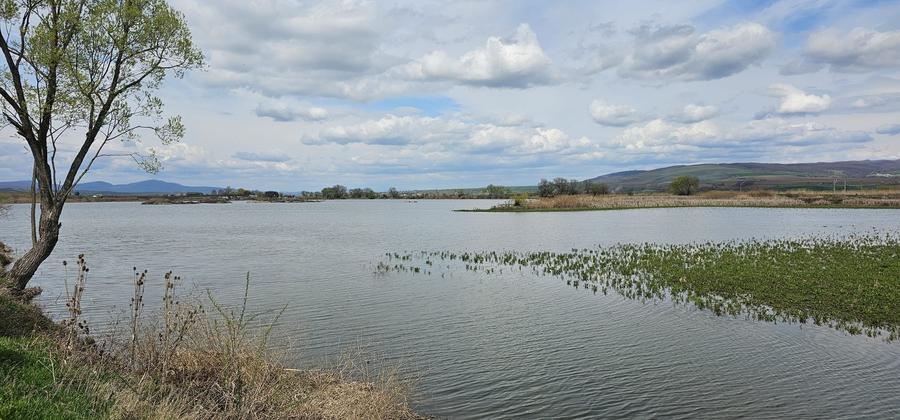 Teren Rotbav  str. Ștefan cel Mare – 3668 mp, intravilan cu deschidere la lac. - 4