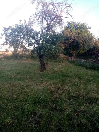 Casa de vanzare Gladna Romana, judetul Timis - 1