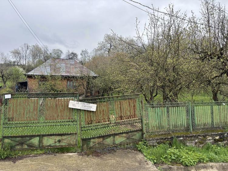 Vand casa si teren in Rau alb - 1