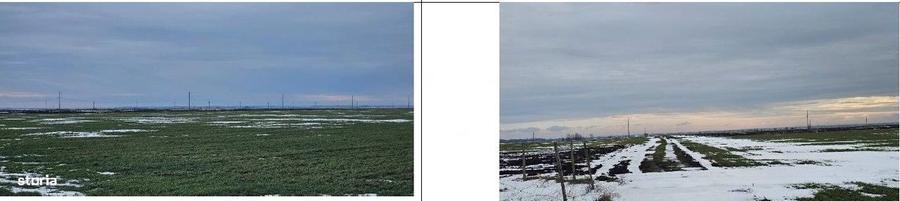 Teren extravilan Dragalina, cota parte 1/2, ID: R2992764 - 9