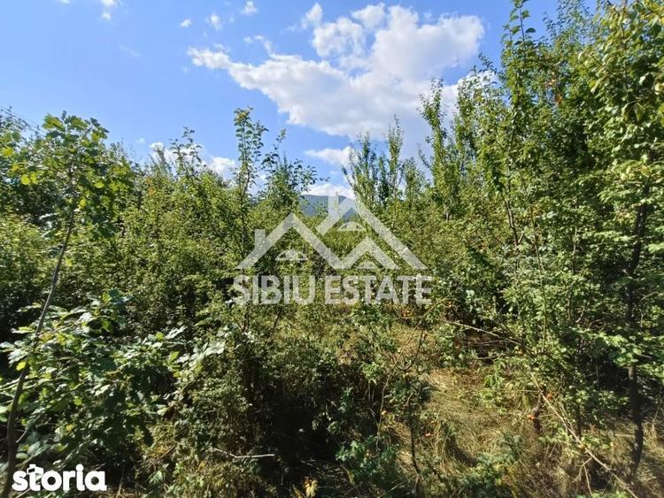 Teren construibil ,la sosea, intre Vale si Sibiel, zona cu potential - 5