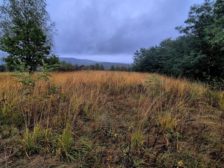 Comision 0%, teren extravilan 12497 mp Sinca Noua - 11