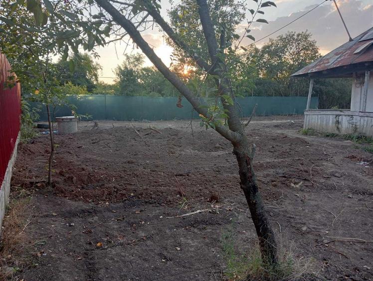Teren 450/900cu utilitati si casa DN1 Ciolpani URGENT - 1