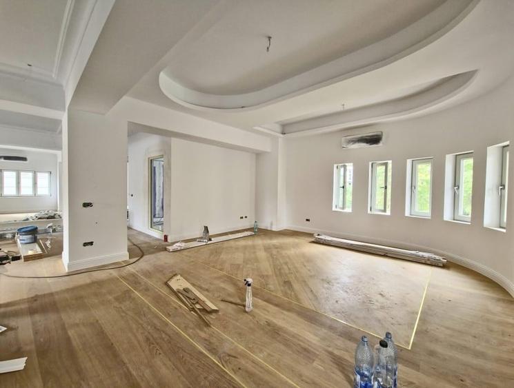 Vila complet refacuta, 250 mp curte ,  Aviatorilor - 3