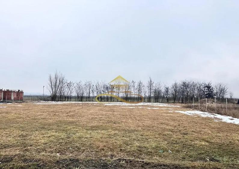 Teren de vanzare Siretu Saucesti Bacau - 2