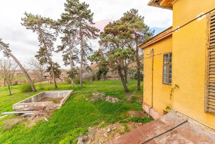 Conac aristocratic secolul XIX , domeniu 2,5 hectare Pauli?, Arad - 3