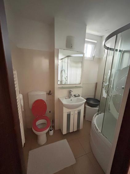 Proprietar _ vand apartament 2 camere _ Obregia _ Pasaj Europa Unita - 6
