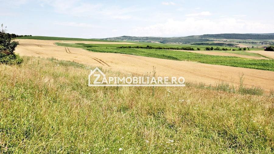 Teren 9.600 mp.17 euro mp deschidere la drum 200 m. - 5