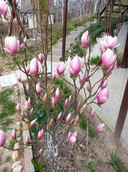 De vanzare casa de vacanta - 8