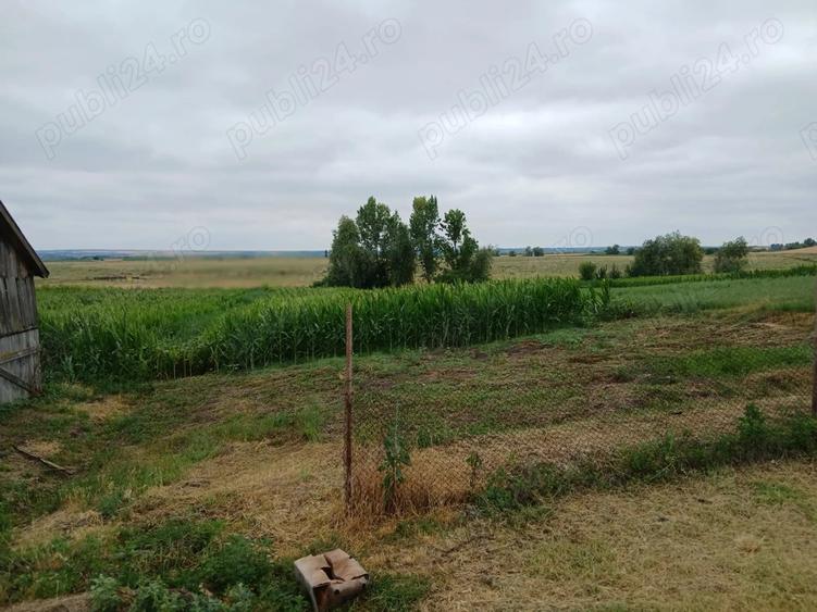 Casa de vanzare foarte ieftina si cu utilitati bune - 3